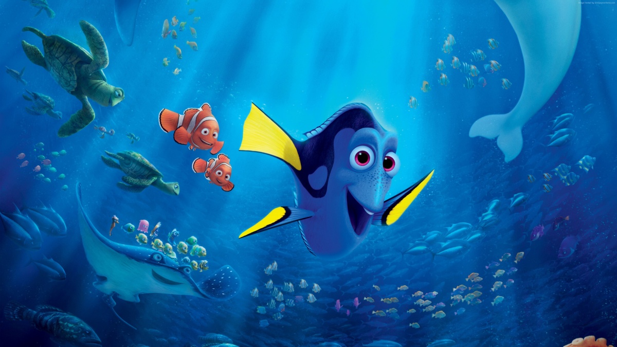 finding dory fish