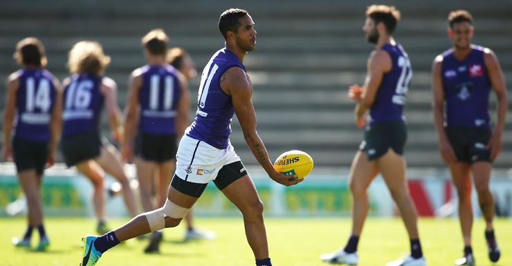 shane yarran