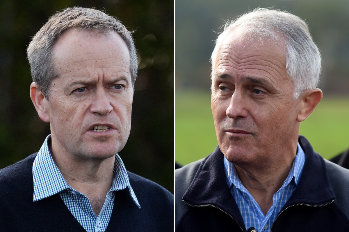 Bill Shorten and Malcolm Turnbull