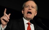 Shorten family