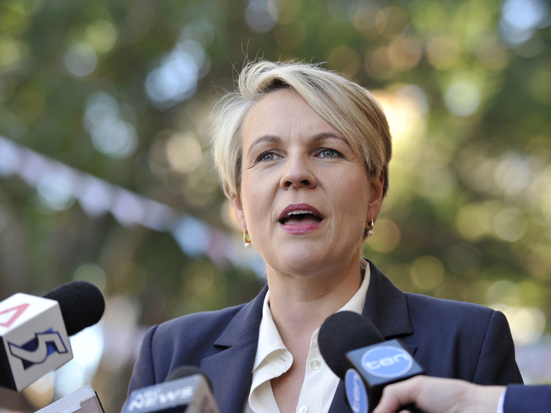 Plibersek