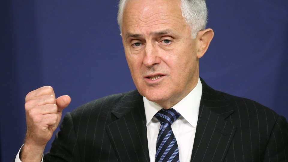Mr Turnbull said the problem of DoS attacks was both predicted and expected.