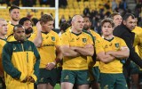 wallabies rugby bledisloe