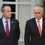 turnbull plebiscite parliament