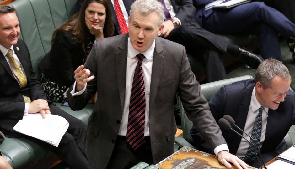 Tony burke