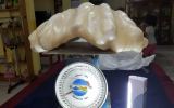 clam pearl