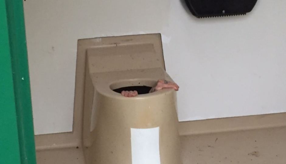 Larsen toilet rescue