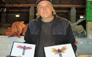 Steve Wakeling with mounted recycled bugs