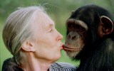 Jane Goodall on Trump