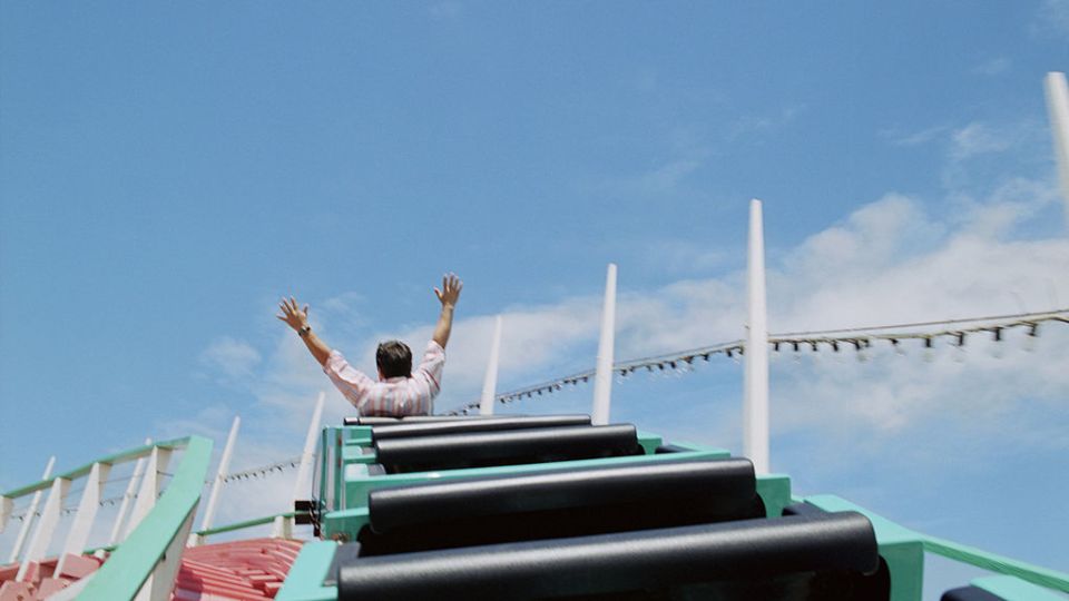 rollercoasters kidney stones