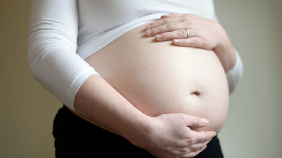 inmate pregnant