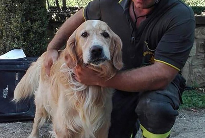 Romeo rescue earthquake