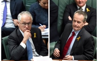 Turnbull Shorten newspoll