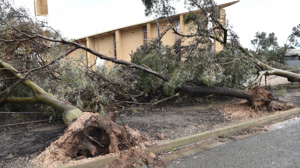 Storm South Australia Blyth