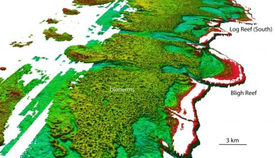 bligh reef