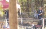 Thorburn excavation