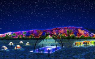 Light Show NT