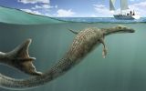 Sea monster
