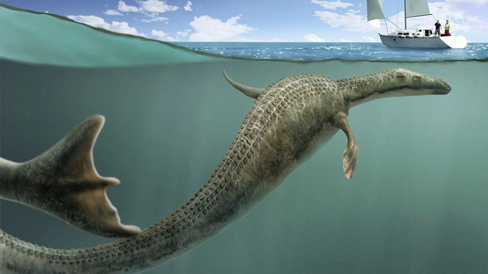 Sea monster