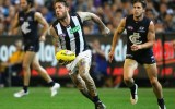 dane swan