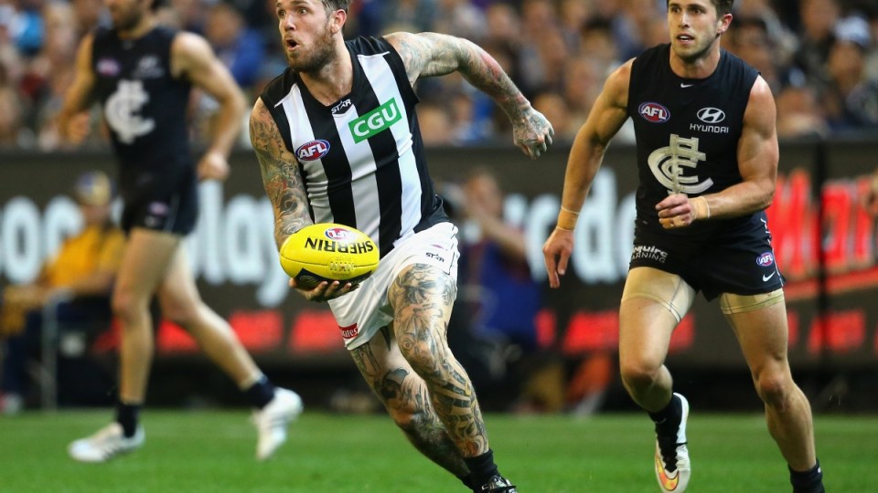 dane swan