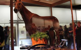 Phar Lap