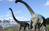 Savannasaurus elliottorum dinosaur