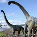 Savannasaurus elliottorum dinosaur
