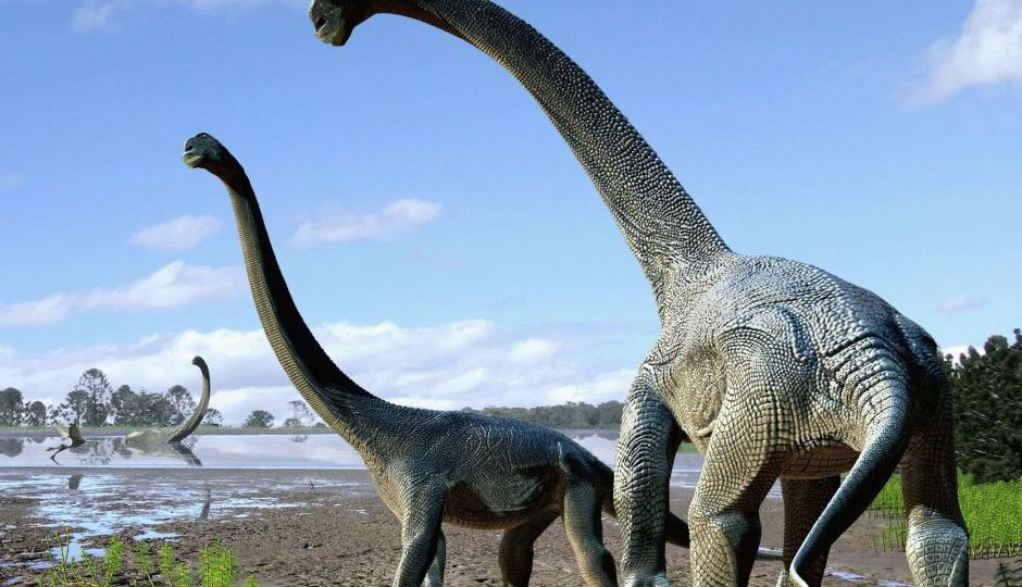Savannasaurus elliottorum dinosaur