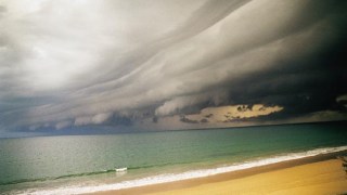 la niña