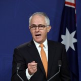 malcolm turnbull immigration