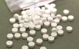 queensland pill testing