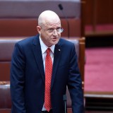 David Leyonhjelm