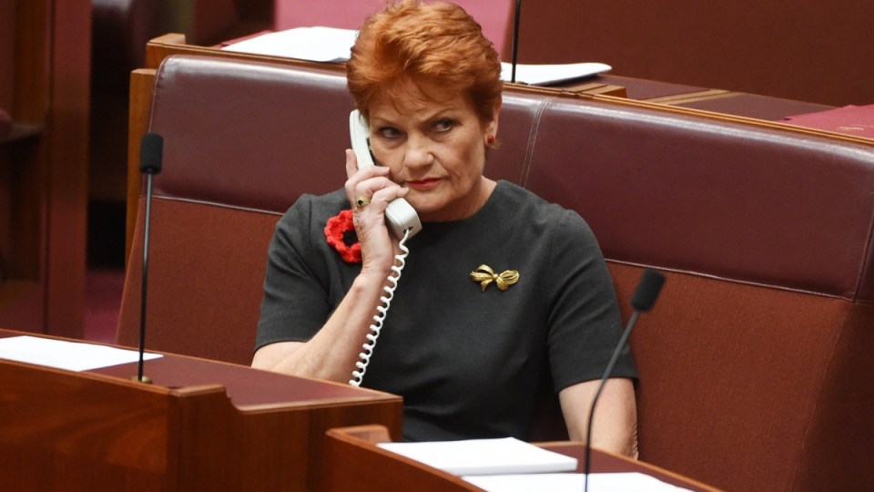 pauline hanson