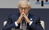 malcom turnbull polling