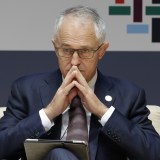malcom turnbull polling