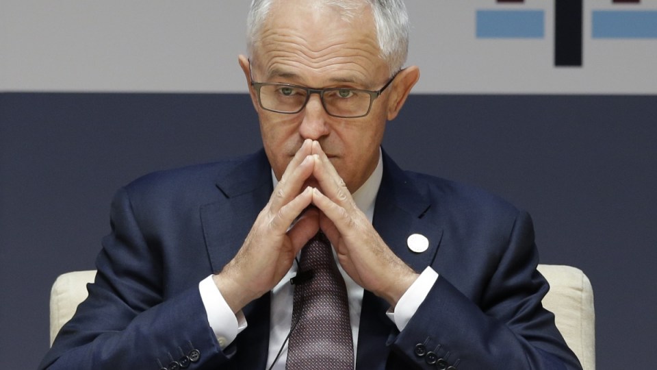 malcom turnbull polling
