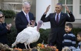 President Obama turkey puns Thanksgiving pardon