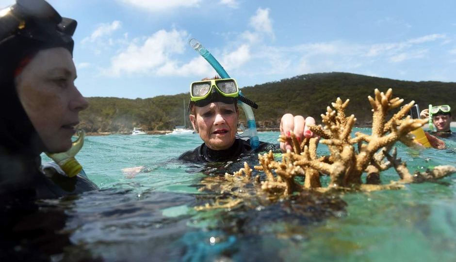 Hanson visits reef