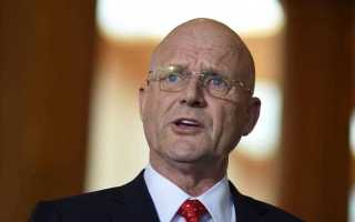 leyonhjelm nsw upper house