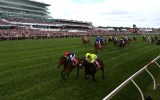 almandin Melbourne Cup