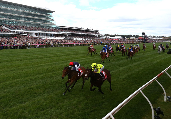 almandin Melbourne Cup