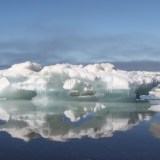 arctic sea ice