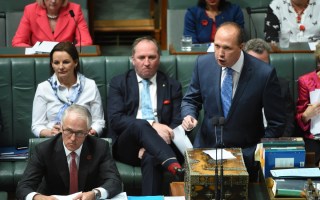 peter dutton immigration