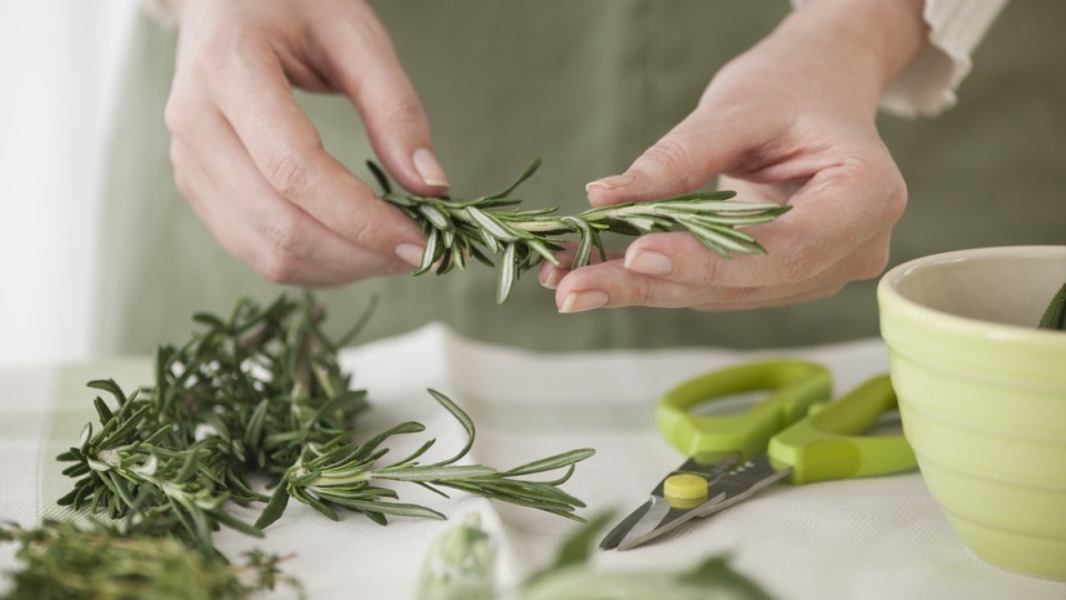 rosemary