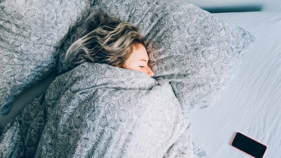 sleep bed