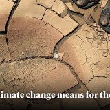 What climate change means for the future