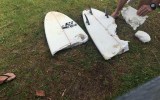 shark attack near Forster