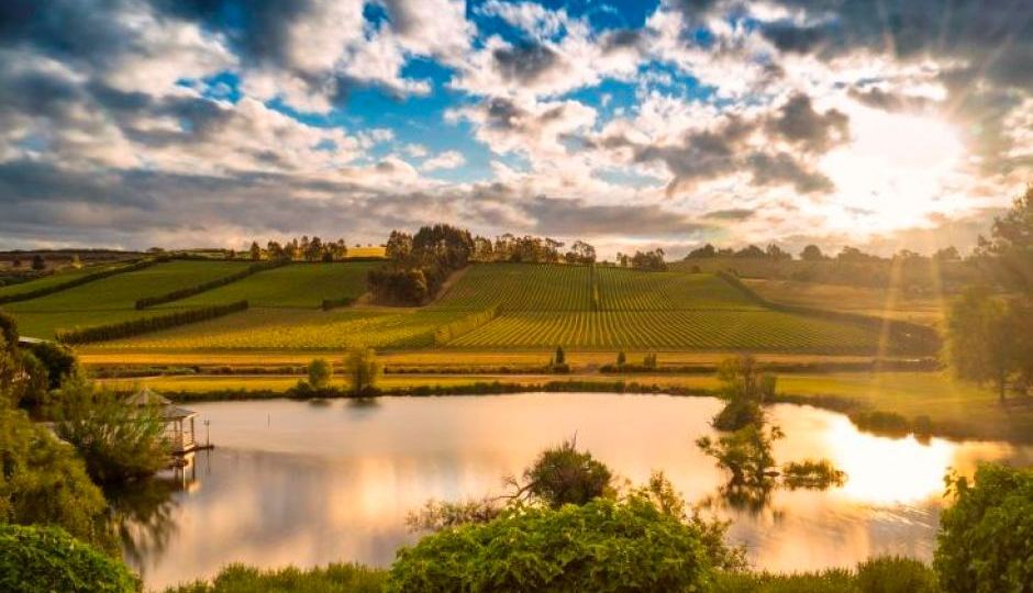 climate change and wine