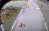 Keas play tricks with traffic cones